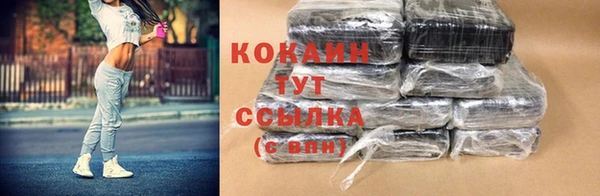 ГАЛЛЮЦИНОГЕННЫЕ ГРИБЫ Осинники