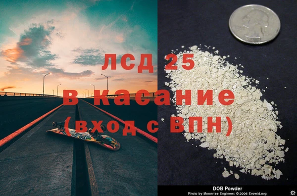 ГАЛЛЮЦИНОГЕННЫЕ ГРИБЫ Осинники