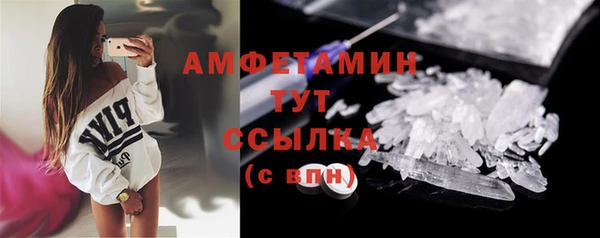 ГАЛЛЮЦИНОГЕННЫЕ ГРИБЫ Осинники