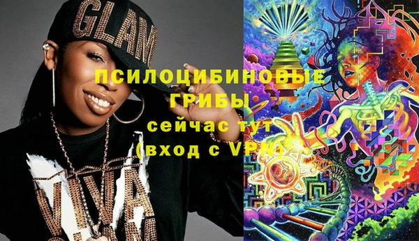 ГАЛЛЮЦИНОГЕННЫЕ ГРИБЫ Осинники