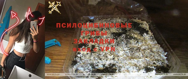 ГАЛЛЮЦИНОГЕННЫЕ ГРИБЫ Осинники