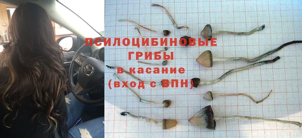МДМА Осташков