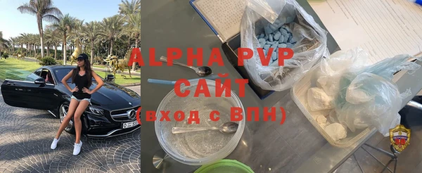 ГАЛЛЮЦИНОГЕННЫЕ ГРИБЫ Осинники