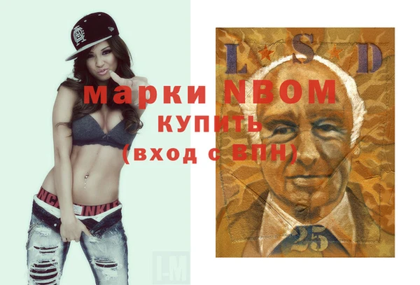 ГАЛЛЮЦИНОГЕННЫЕ ГРИБЫ Осинники