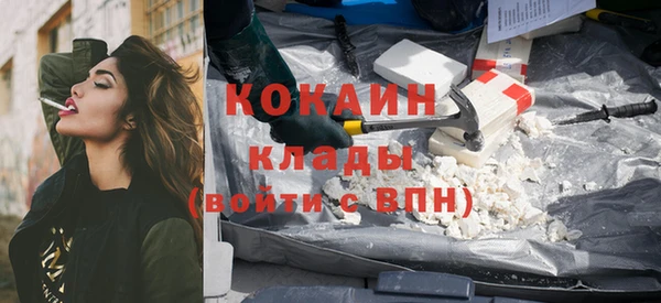 ГАЛЛЮЦИНОГЕННЫЕ ГРИБЫ Осинники