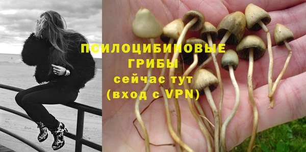 a pvp Остров
