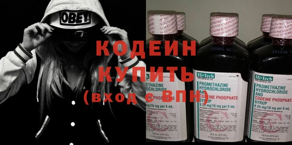 ГАЛЛЮЦИНОГЕННЫЕ ГРИБЫ Осинники