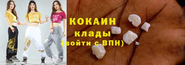 ГАЛЛЮЦИНОГЕННЫЕ ГРИБЫ Осинники